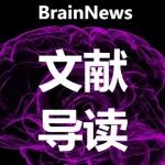 Nat. Commun.：浙大团队揭示神经痛新靶点，双靶向纳米药物精准干预大脑炎症
