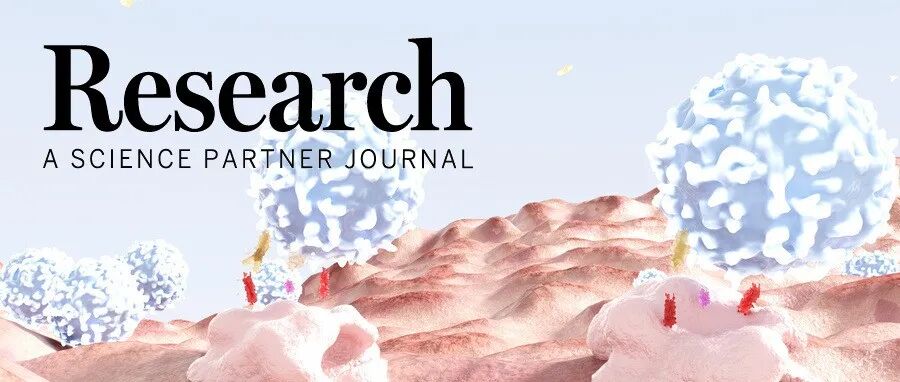 Research|中国医学科学院肿瘤医院深圳医院蔡松华等团队：靶向巨噬细胞SPP1是增敏肺癌放射治疗的有效策略