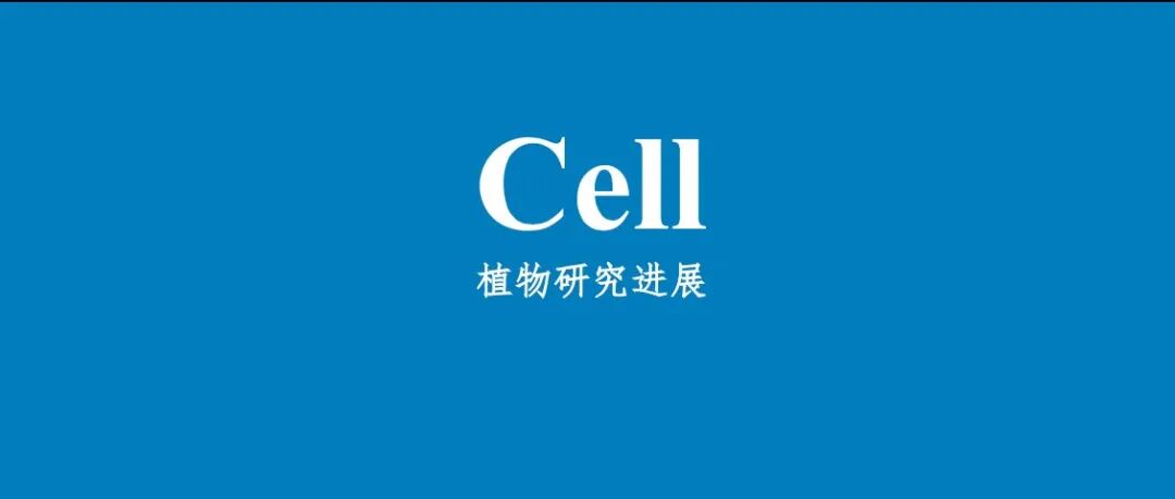 中科院分子植物卓越中心发表《Cell》
