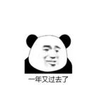 2025，这一年，年终总结