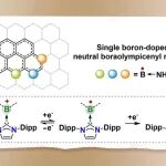 【JACS】西安交大苏博超/周桂江：硼掺杂位点调控的中性硼杂奥林匹克烯自由基