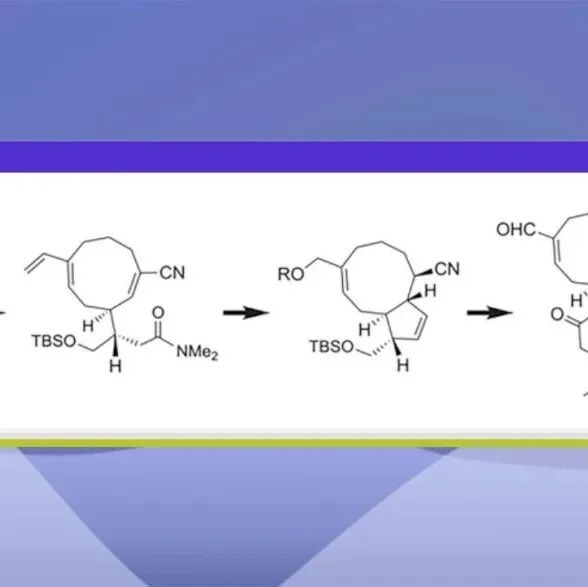 【Angew. Chem.】日本北海道大学Keiji Tanino团队：(±)-Cristaxenicin A的全合成