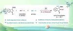 【Angew. Chem.】湖南师范大学马元鸿教授课题组：镍催化吲哚与两种不同烷基卤化物的化学和非对映选择性去芳构双烷基化反应