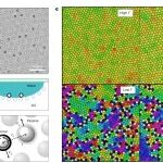 研究进展：带电胶体-二维非平衡熔化 | Nature Physics