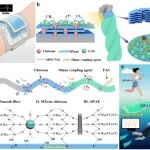 东北大学青勇权课题组 AFM：基于微纳装甲超疏水结构的两栖电子纺织品 - 用于全天候及水下环境运动传感