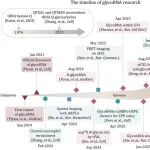 【前沿进展】Protein & Cell综述 | 从“未知的未知”到“已知的未知”:GlycoRNA的发现、机制与生物学功能
