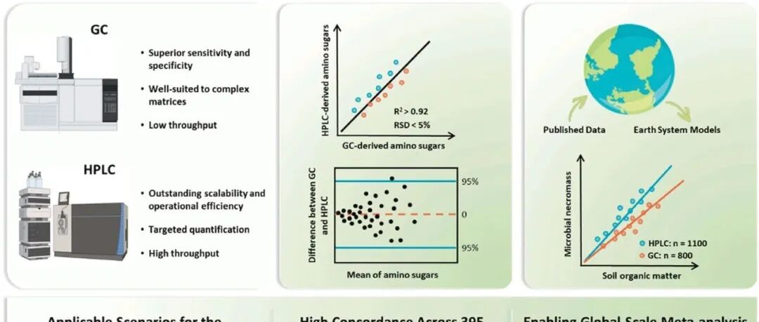 残体碳测定方法全面评估丨SOIL BIOL BIOCHEM：土壤氨基糖分析中气相色谱与高效液相色谱的基准比较