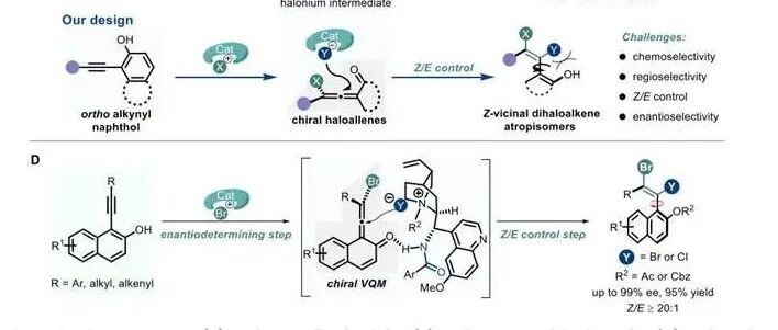 重庆大学闫海龙课题组：炔烃的立体选择性二卤化反应获得对映体富集的Z-邻二卤代烯烃阻转异构体