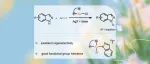 【J. Org. Chem.】北理工夏中华课题组：金催化吲唑的区域选择性N - 1芳基化反应