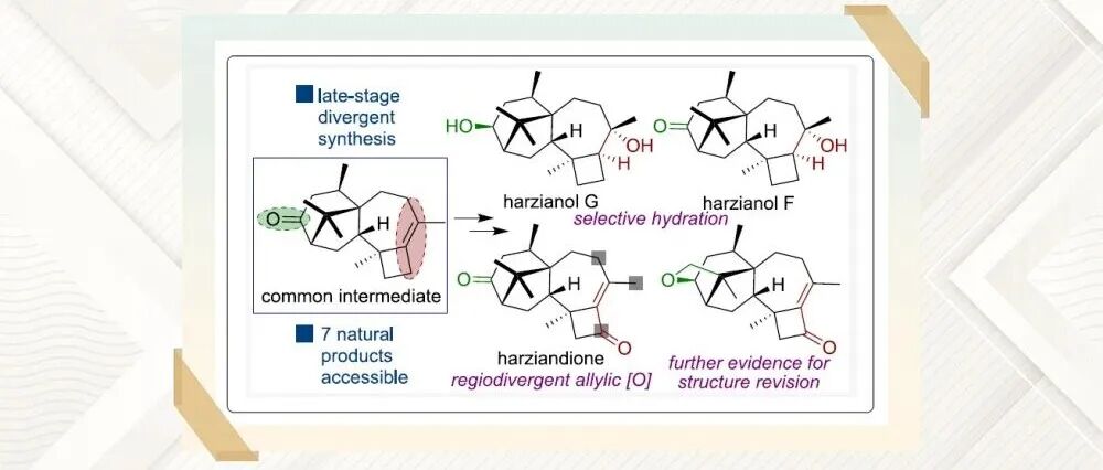 JACS：Harziane二萜类化合物的发散式全合成
