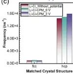Npj Comput. Mater. : 锂离子在固态电解质中的迁移：揭示电池设计新思路