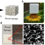 北航邵丽华教授团队 AFM：木材力-电耦合机理与仿生传感研究