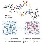 石家庄铁道大学王俊川团队《Macromolecules》：通过接枝磺酸甜菜碱甲基丙烯酸酯显著提高聚偏氟乙烯的介电极化能力和击穿强度