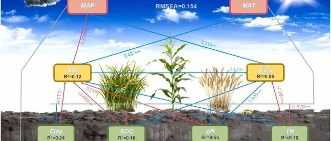 Field Crops Res. | 长期种植绿肥通过增强土壤健康在肥力不足地区产生更高的粮食产量