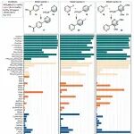 纽约大学刁天宁实验室：一种新型配体ProPhos