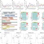 徐州医科大学张勇等合作最新Science子刊