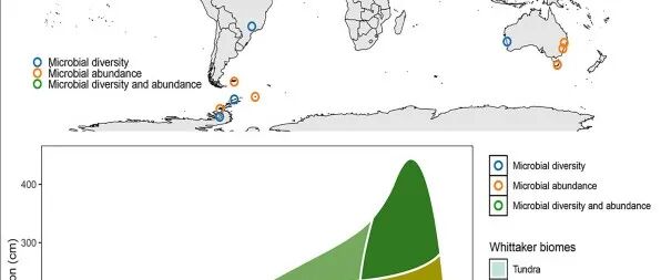 One Earth ：长期的气候变暖会显著降低全球土壤中微生物的多样性