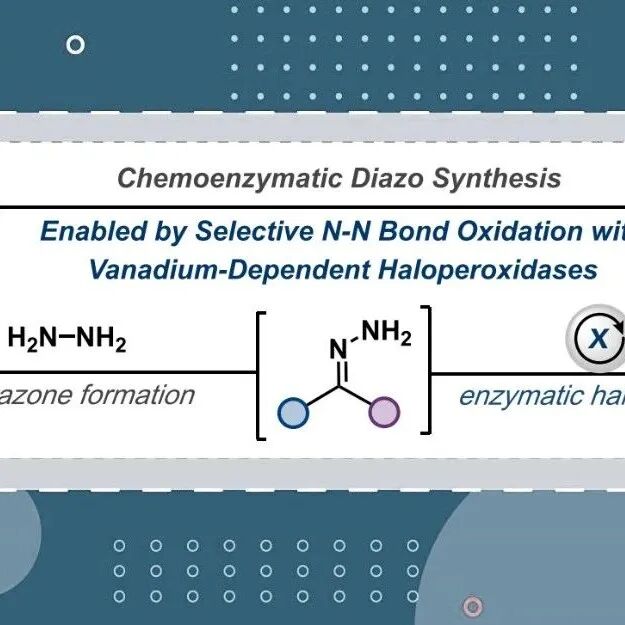 【JACS】埃默里大学Davis和Biegasiewicz：钒依赖型卤过氧化物酶（VHPO）介导的酶促卤离子循环