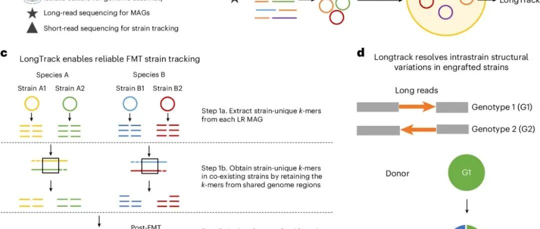 Nature Microbiology | 房刚组-长读长宏基因组学用于粪菌移植后的菌株追踪