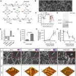Adv Mater | 南京大学胡勇等团队研究设计生物矿化益生菌构建“肠道工程化抗原工厂”靶向消除宫颈肿瘤