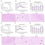 PNAS | 吉林大学鲁会军等合作发现GETV E2的糖基化促进了动物模型的发病机制