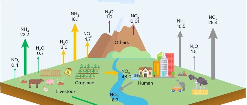 Nature Geoscience | 氮素浪费减半对全球可持续发展目标的成本与收益