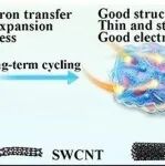清华大学魏飞课题组Carbon Future：碳纳米管对红磷储钠机制的研究