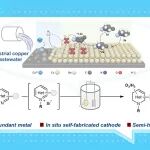 【JACS】华中师范大学雷鸿辉/罗竹：从铜废水到电催化剂——吡啶衍生物的选择性电化学半氢化