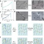 西南交大周仲荣/郑靖团队 Macromolecules：兼具高韧、高内聚强度及自修复的先进胶粘材料
