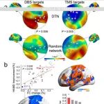 安徽医科大学汪凯等团队合作最新Nature子刊