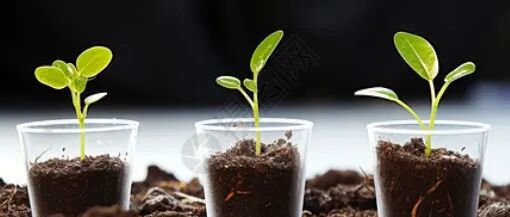 Nature重磅！最新捷报，农大博士在植物科学领域再发突破性研究成果！