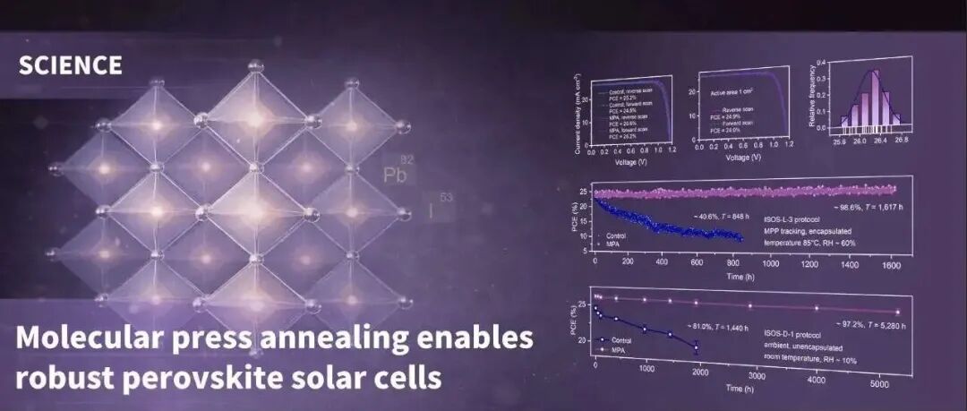厦大张金宝、杨丽/西安交大梁超 Science: 分子压印退火新方法 - 可精准调控钙钛矿缺陷的形成与演变过程