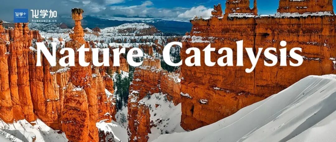 钛硅分子筛催化氨肟化反应，Nature Catalysis！