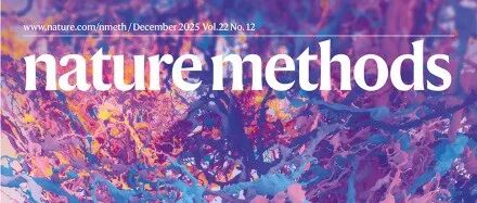 Nat. Methods | 2025年度方法：基于电镜的连接组学