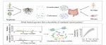 iMetaOmics | 中国农大张福锁院士团队倪斌教授课题组发现核糖体RNA操纵子拷贝数可以预测不同生境微生物群落的可培养效率