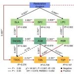 【Journal of Plant Ecology】东北地理所在自然恢复湿地植被演替对土壤生态功能的调控机制研究方面取得进展