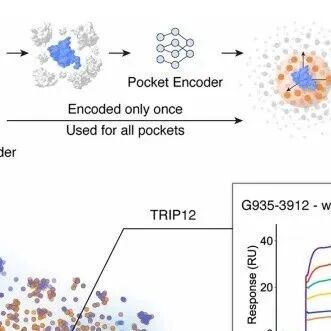 药物筛选新时代，清华大学最新Science打通药物筛选最后一公里