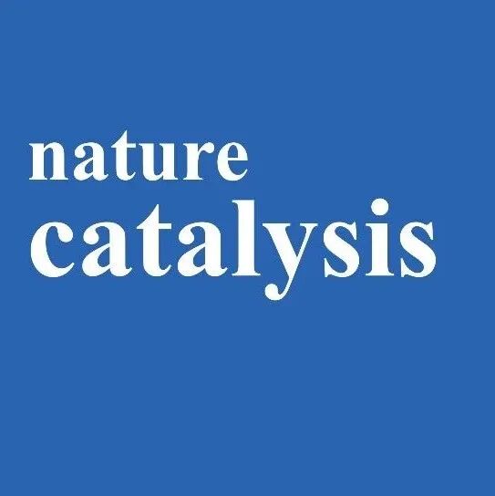 分子筛催化，Nature Catalysis！