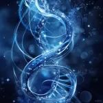 研究进展：DNA折纸-可编程自组装 | Nature Physics