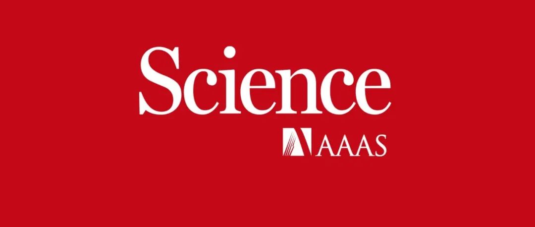 2026首篇Science主编社论：抵制AI生成的“低劣内容”