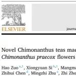 FC|以不同茶坯窨制蜡梅花制成的新型蜡梅花茶