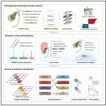 Cancer Cell | 复旦大学樊嘉等为胆囊癌精准分型与治疗描摹新蓝图