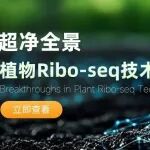 超净全景植物翻译组Ribo-seq技术