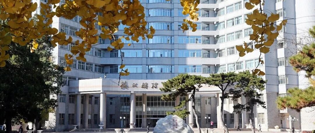北京理工大学姜澜院士团队：介质超表面-飞秒激光制造，光刻 | Advanced Materials