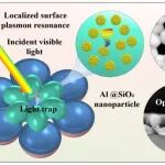 东北大学王强/刘晓明团队：金属基电磁吸收材料 | Materials Today