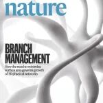 研究透视：物理网络-表面优化 | Nature