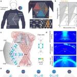2026年Nature Electronics第一篇超材料：基于拓扑衣服的人体传感网络