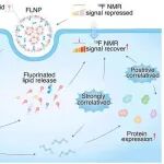 PNAS | 华中科技大学周欣/陈代钦通过氟化脂质纳米颗粒实现mRNA递送的实时追踪并揭示免疫激活的时空机制