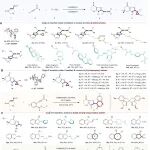 Sci Adv | 成都中医药大学杨倩倩/韩波/彭成团队：基于α-氨基铜卡宾实现氮杂环生物碱氨基β-碳官能团化