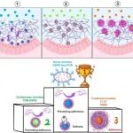 郑州大学张振中/路翔/史进进合作最新Science子刊